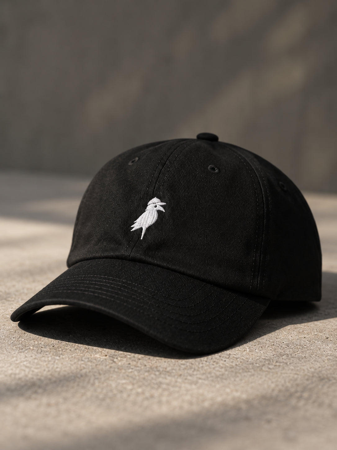 Crow Cap in Black — flat lay